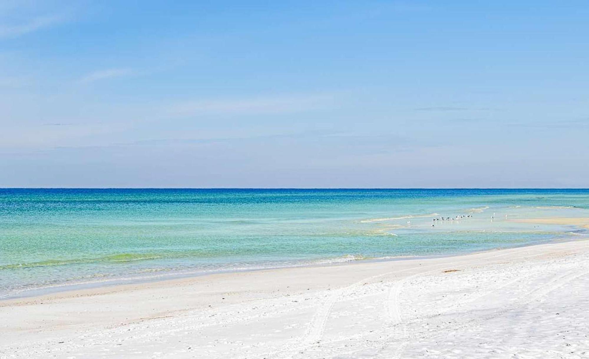 Majestic Beach Towers 1-1803 Panama City Beach Dış mekan fotoğraf